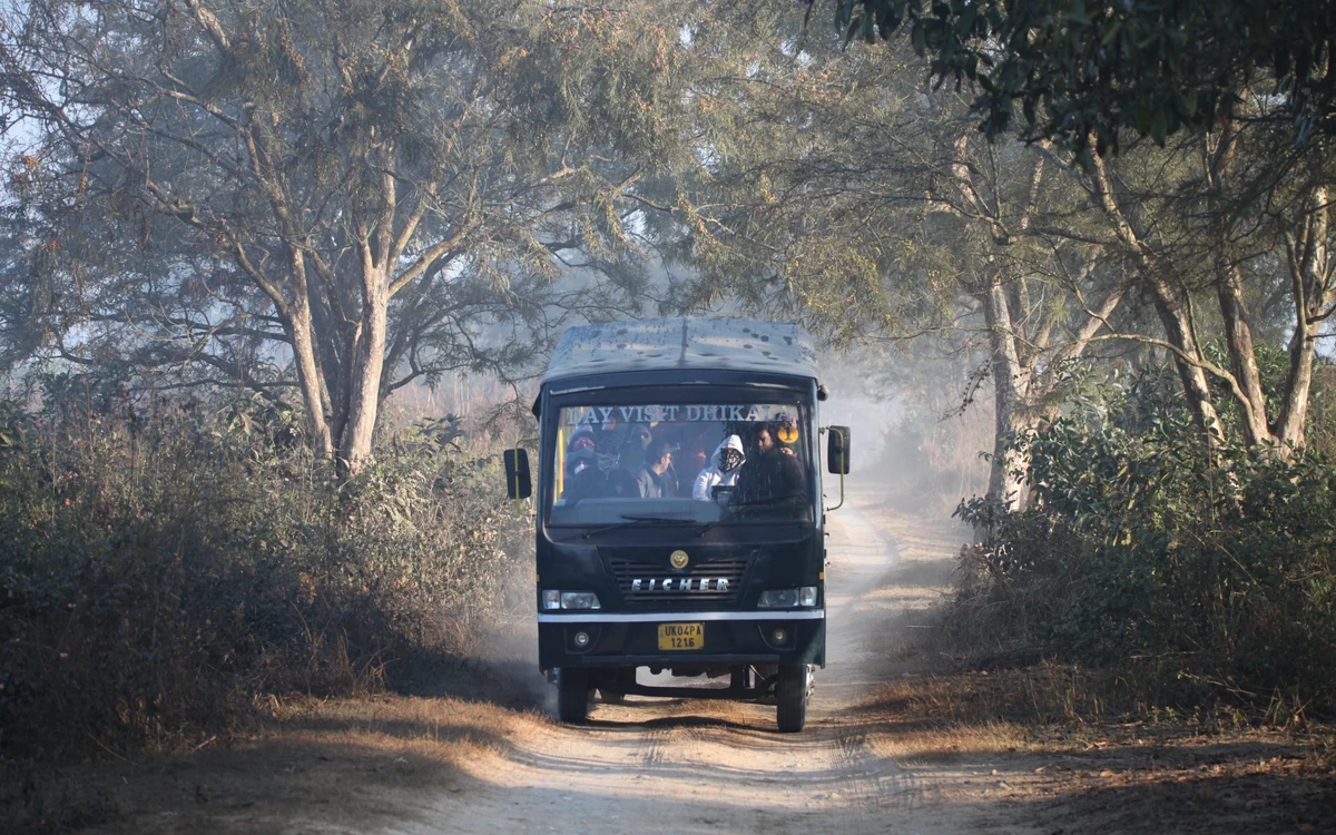 Canter Safari booking assistance in Corbett