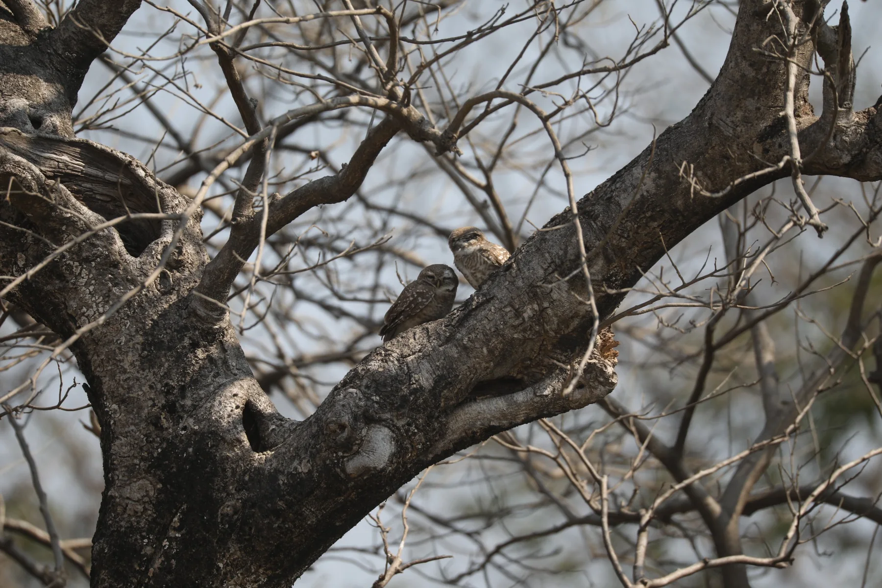 Disclaimer - Tour My Corbett