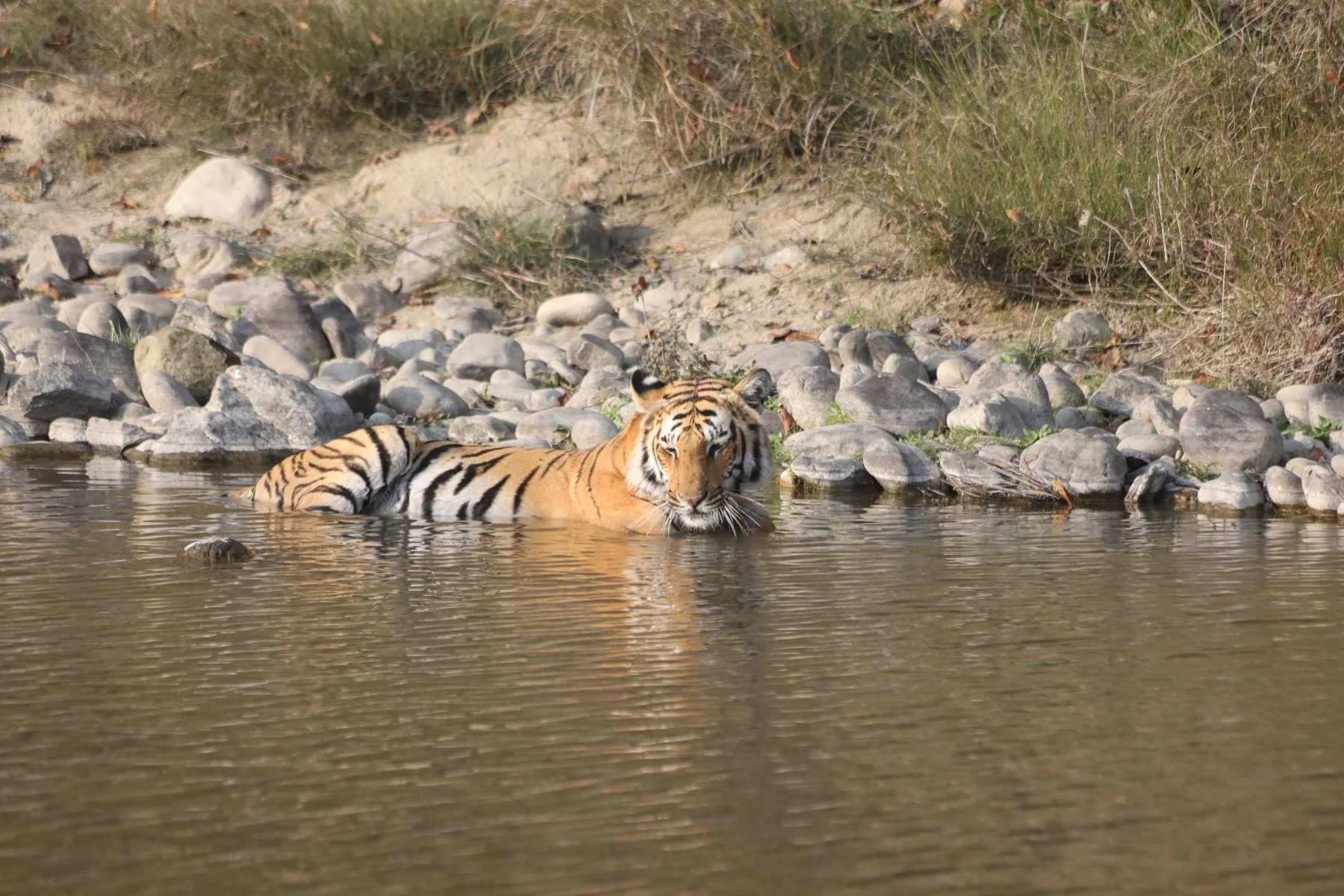 Refund & Cancellation Policy - Tour My Corbett