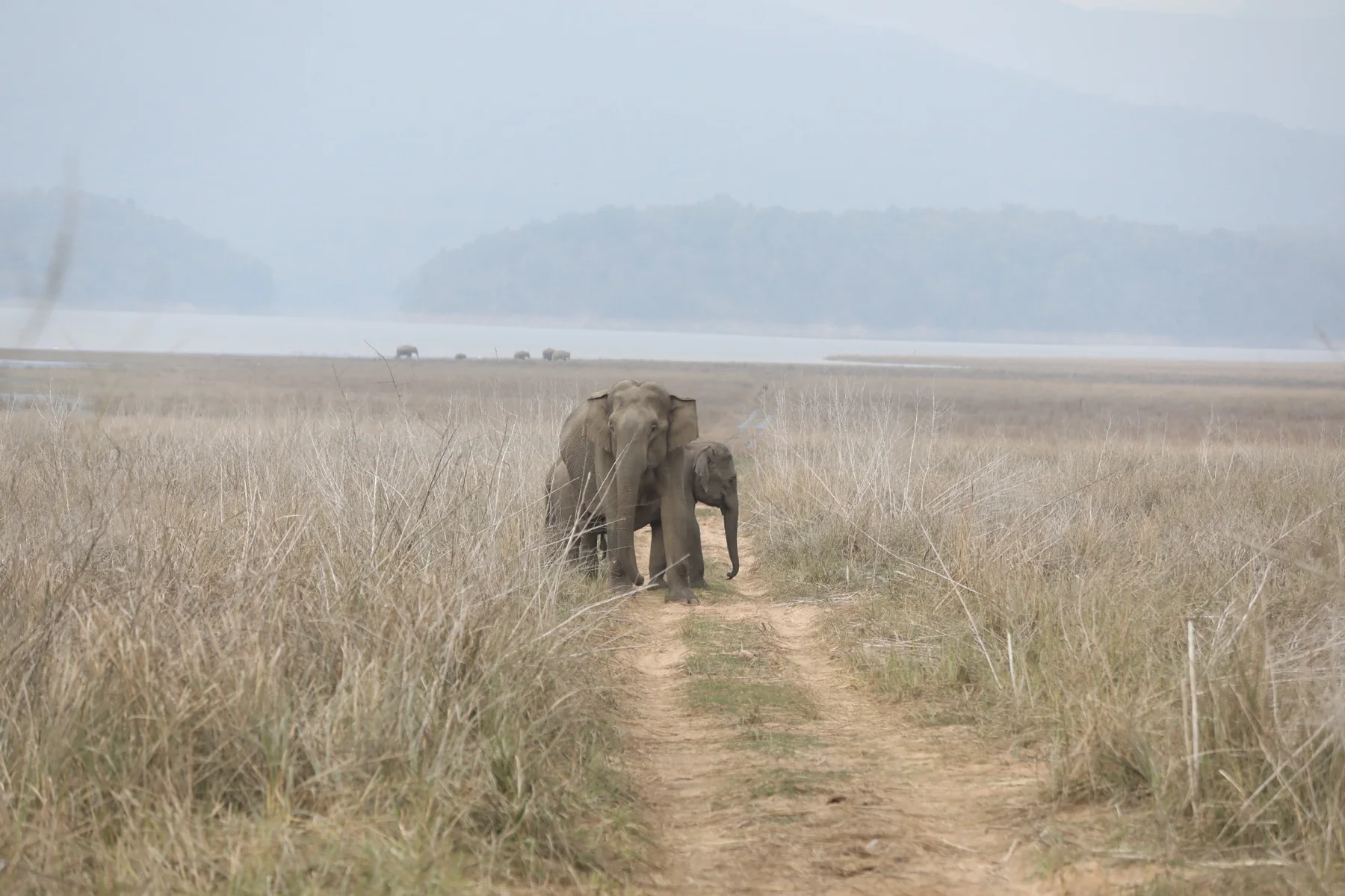 Corbett holiday package