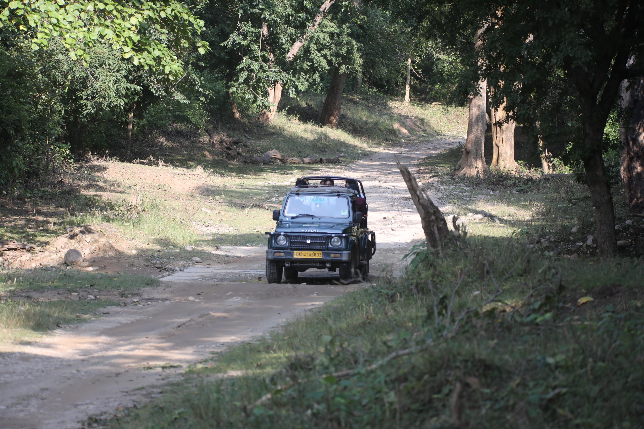 Jeep Safari in the Jim Corbett area