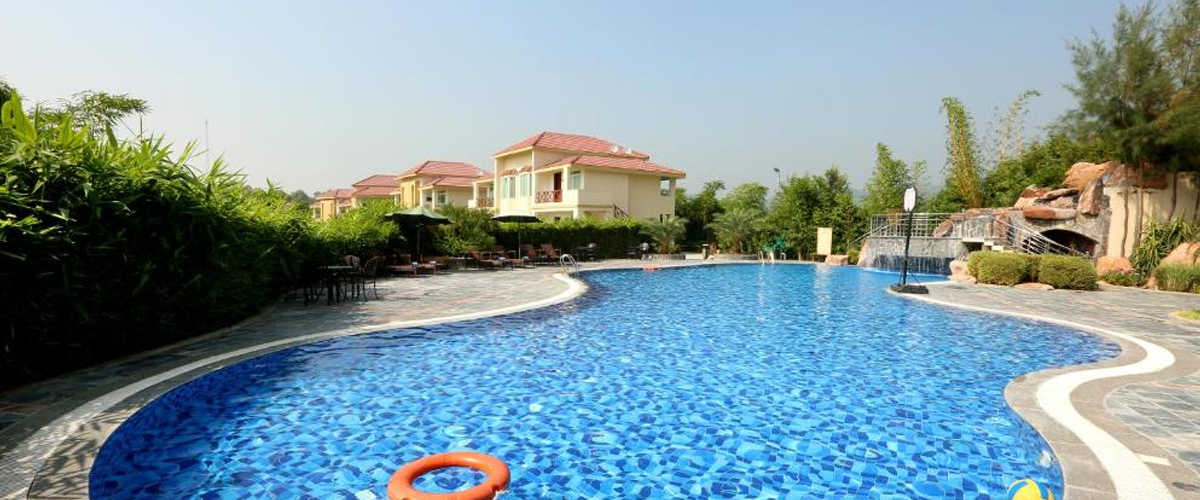 Swimming pool surrounded by greenery at De Coracao