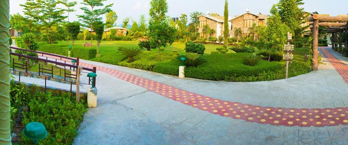 Family cottage surrounded by greenery at The Roar Resort