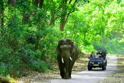 corbett tour