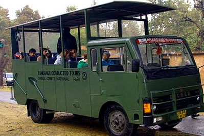 dhikala canter safari