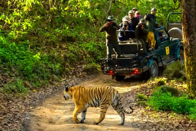 corbett tour