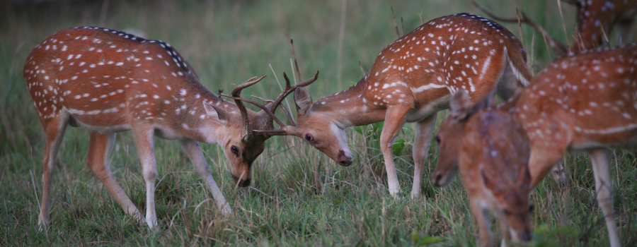 Terms and Conditions Document