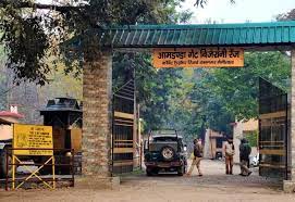 Morning Safari Corbett